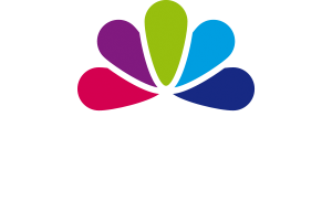 Veldhuizen Grafisch Effect